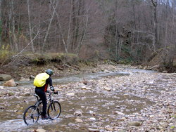 P1010016.jpg