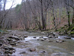 P1010026.jpg