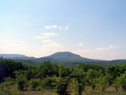 P1010032.jpg