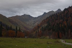 дорога с ауадхары на мзы.JPG
