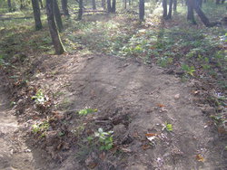 P1010131.jpg