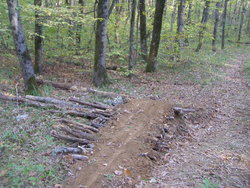 P1010141.jpg