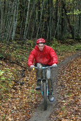 IMG_2762.jpg