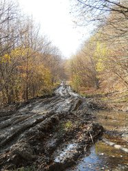 10_OSCN3730.JPG