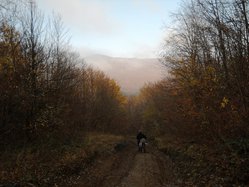 18_OSCN3762.JPG