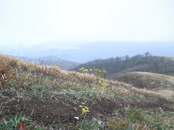 DSCN3407.JPG