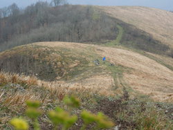 DSCN3412.JPG