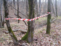 P1010006.JPG