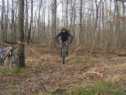 P1010009.JPG