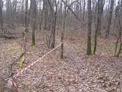 P1010015.JPG