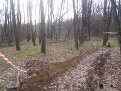 P1010017.JPG