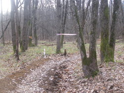 P1010018.JPG