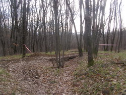 P1010025.JPG