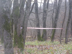 P1010026.JPG