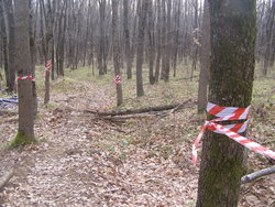 P1010034.JPG