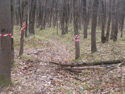 P1010037.JPG
