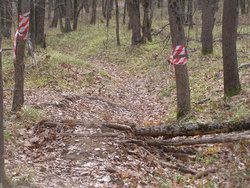 P1010043.JPG