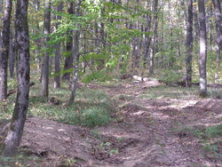 P1010135.JPG