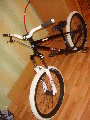 DSC00585.JPG