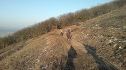 2013-02-09-799.jpg