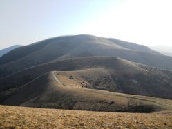 OSCN4467.JPG