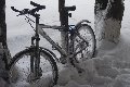 IMG_9722.jpg