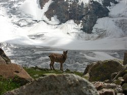 IMG_2702-2.jpg