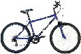 nw08trail_l.jpg