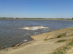 20130510_105538 - копия.jpg