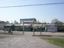 P1010230.JPG