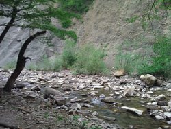 WP_000688.jpg