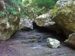 WP_000677.jpg