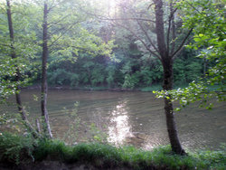 P5040358.JPG