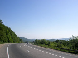_P5040360.jpg