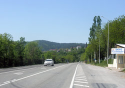 P5040373.JPG