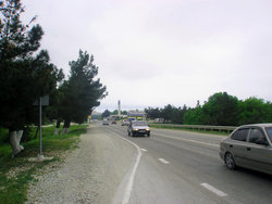 P5050429.JPG
