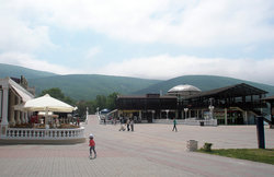 P5050439.JPG