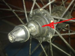 1007201321658.jpg
