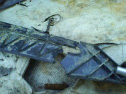 DSC04325.JPG