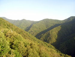 RIMG2719.jpg