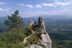 IMAG0590.jpg