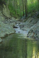 IMG_0953.jpg