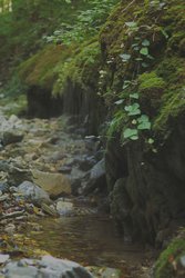 IMG_0957.jpg