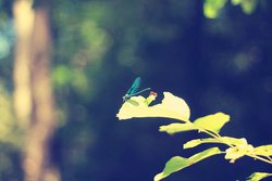 IMG_0881.jpg