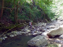 IMG_2595.JPG