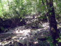 IMG_2600.JPG
