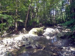 IMG_2601.JPG