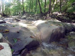 IMG_2604.JPG