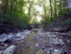 IMG_2608.JPG