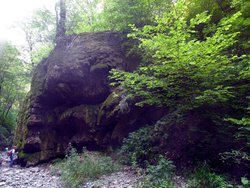 IMG_2614.JPG